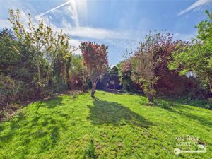 Garden- click for photo gallery